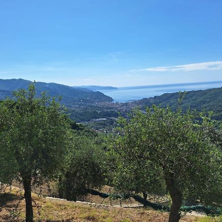 Sea-View Retreat - Pool, Tavern, Fireplace Rapallo Exterior foto