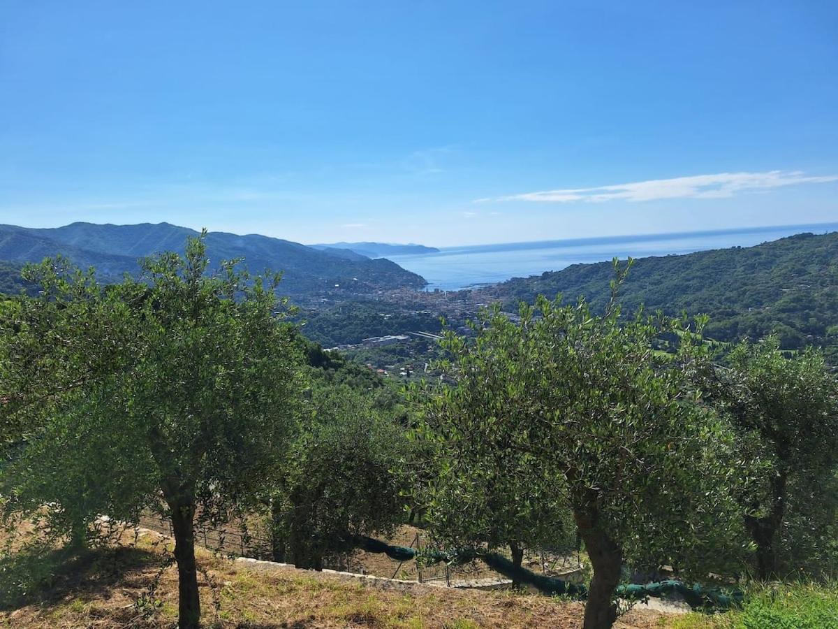 Sea-View Retreat - Pool, Tavern, Fireplace Rapallo Exterior foto